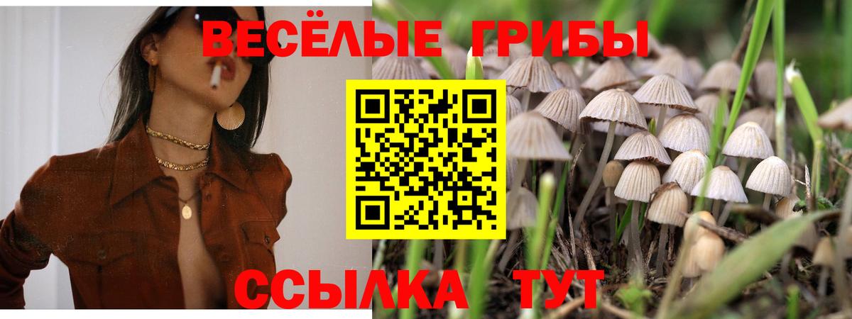 Псилоцибиновые грибы ЛСД  Псилоцибиновые грибы Psilocybe  Вход с VPN  Саратов 